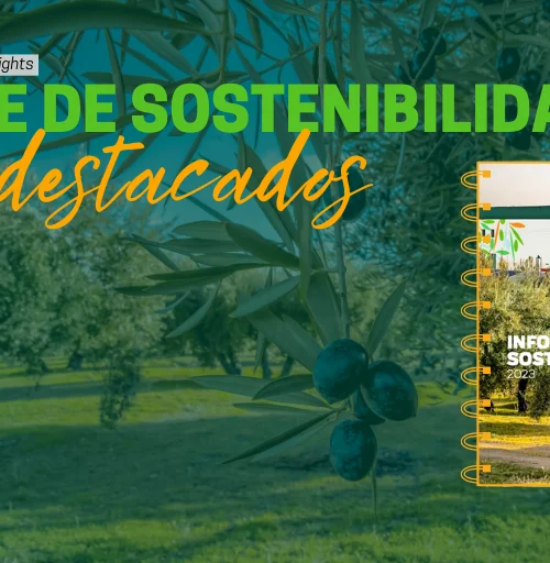 Sustainability Report