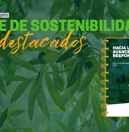 Informe de sostenibilidad